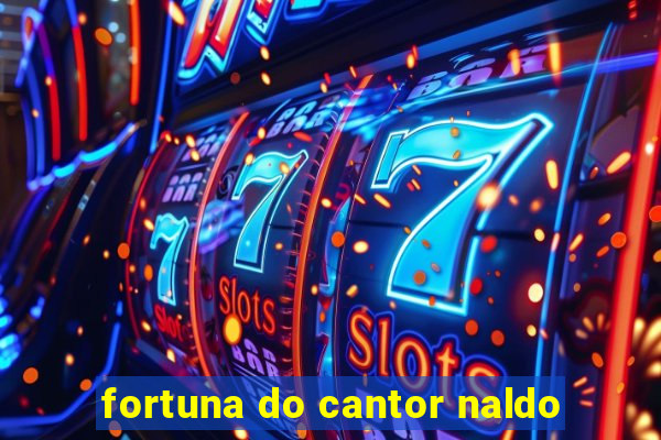 fortuna do cantor naldo